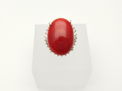 ピックアップブログ画像５