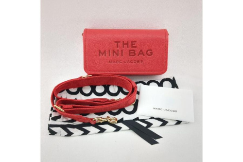 25年02月26日:画像7