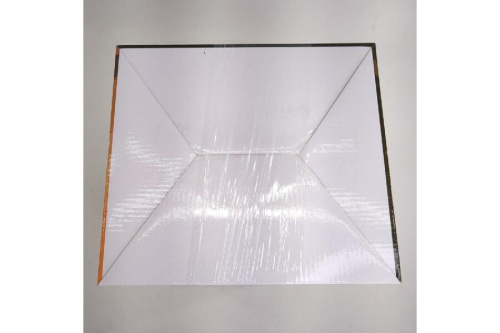 25年07月29日：画像７