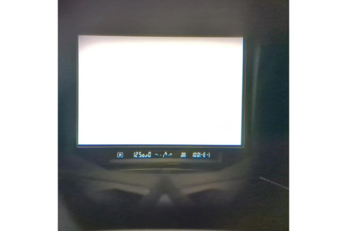 25年08月09日：画像９