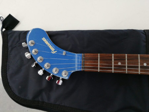 エレキギターのFernandes(フェルナンデス)