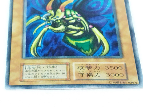 ピックアップブログ画像４