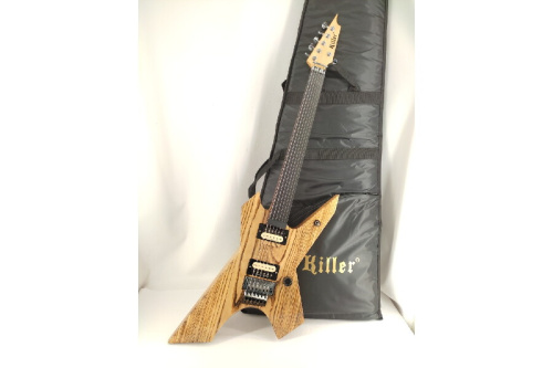 楽器のエレキギター