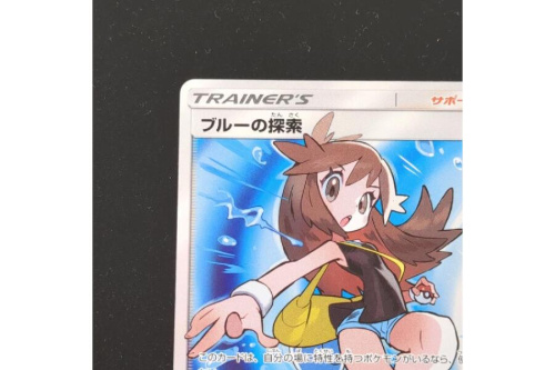 ポケットモンスターのポケモン