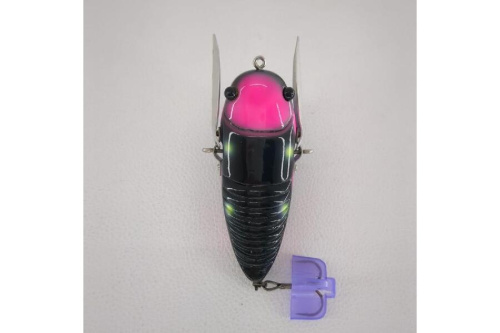ピックアップブログ画像２