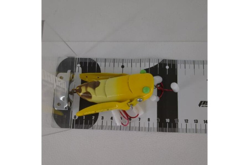 ピックアップブログ画像５