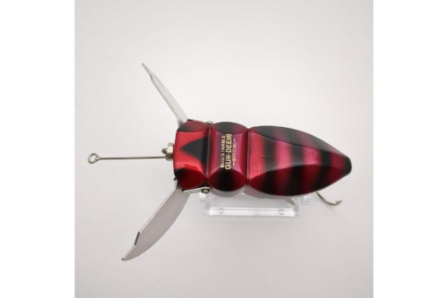 24年05月28日：画像６