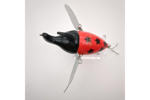 24年06月12日：画像６