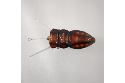 24年07月04日：画像６