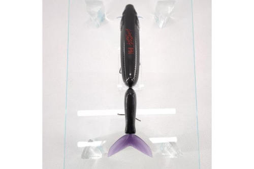 25年03月18日：画像６