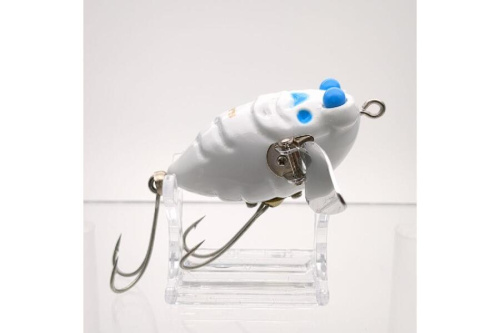 ピックアップブログ画像３