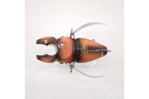 25年04月17日：画像６