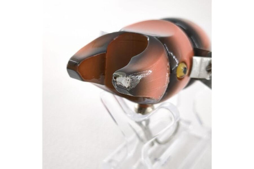 25年04月17日：画像８