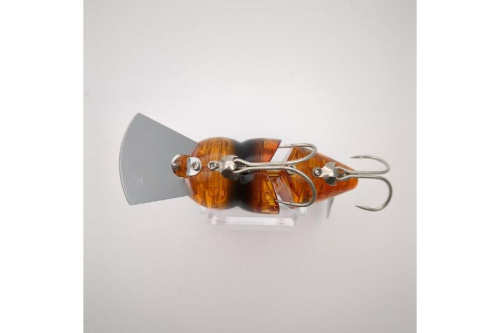 25年04月21日：画像７