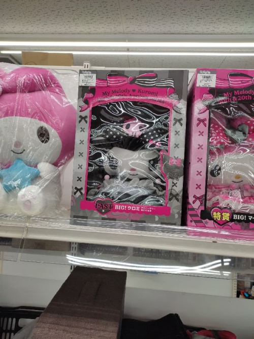 25年10月31日：画像９