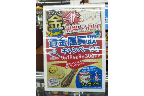 ピックアップブログ画像５