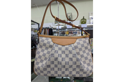 ダミエ・アズールのバッグ