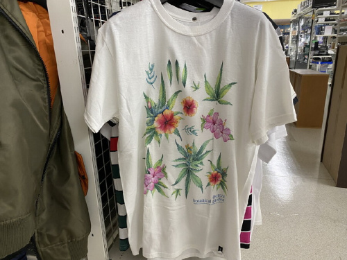 ピックアップブログ画像５
