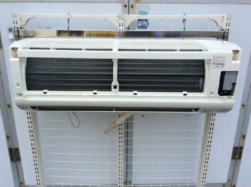 ピックアップブログ画像５