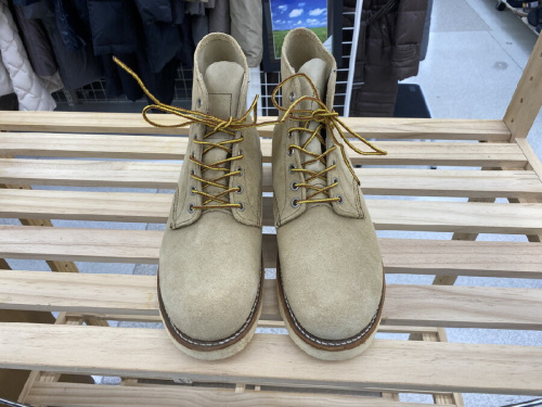 ピックアップブログ画像１