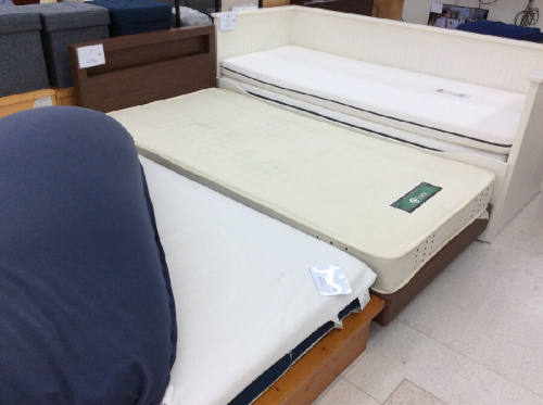 ピックアップブログ画像２