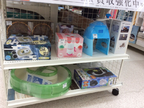 ピックアップブログ画像３