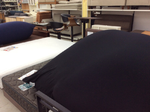 ピックアップブログ画像４