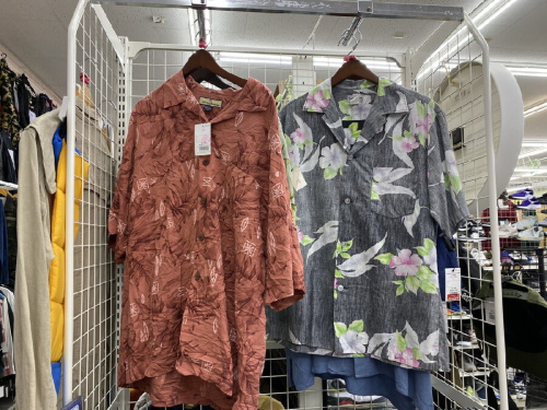 ピックアップブログ画像４