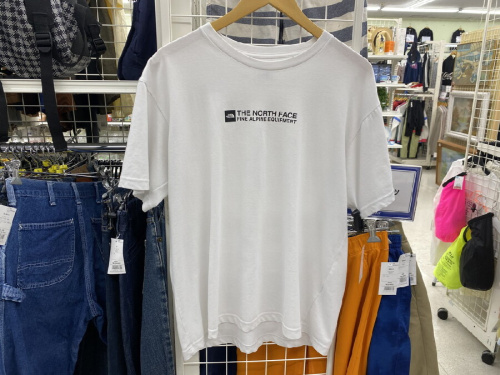 ピックアップブログ画像1
