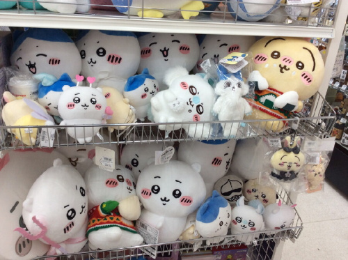 ピックアップブログ画像１