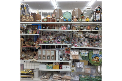 25年11月05日：画像７