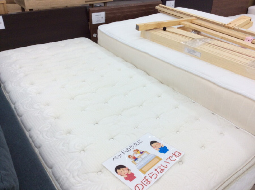 ピックアップブログ画像２