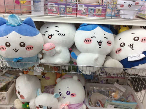 ピックアップブログ画像２