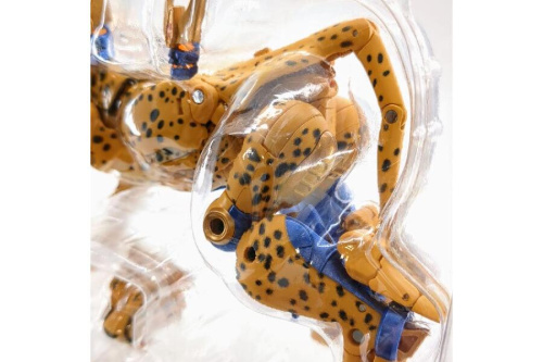 24年12月31日：画像７