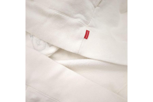 25年06月10日：画像９