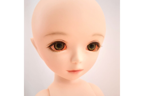 ピックアップブログ画像３