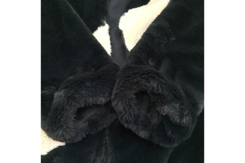 25年07月28日：画像６