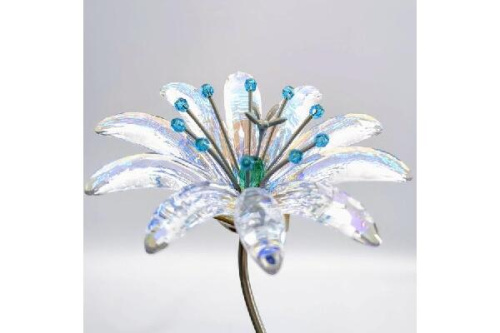 ピックアップブログ画像１