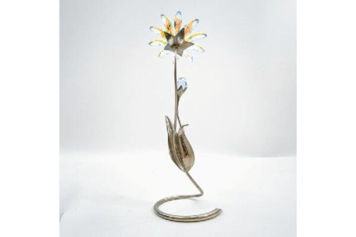 26年01月04日：画像６