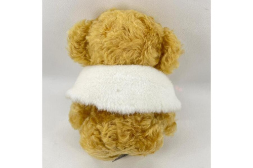 ピックアップブログ画像２