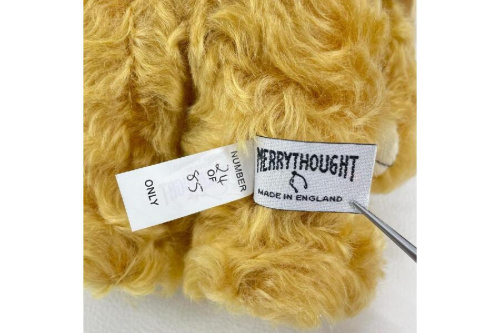 26年01月16日：画像６