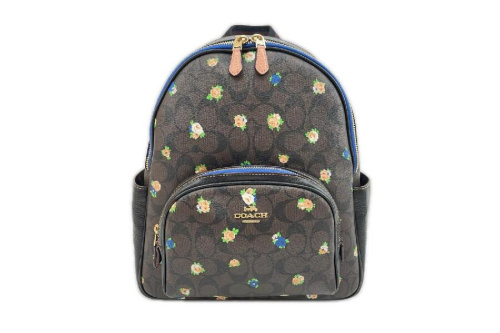 ピックアップブログ画像１