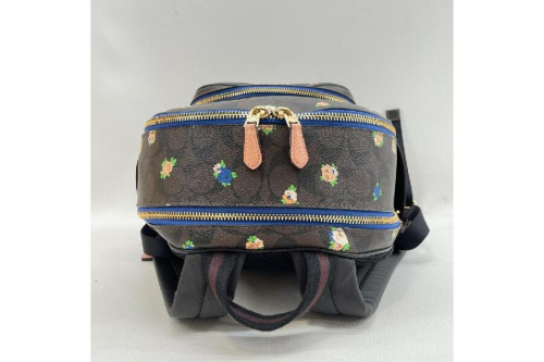 ピックアップブログ画像２