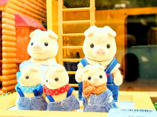 ピックアップ浜松和田店ブログ
