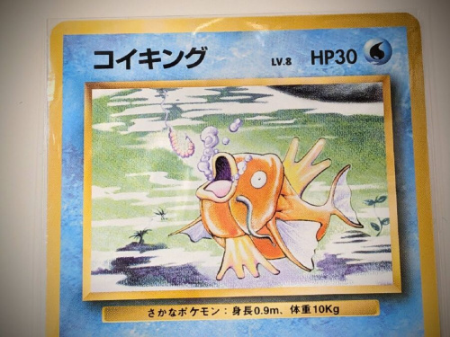 旧裏面カードのポケモングッズ