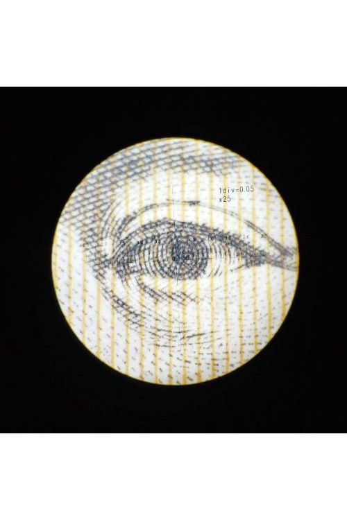 22年07月01日：画像９