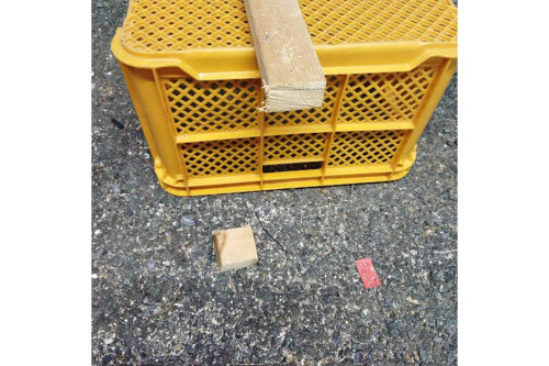 22年10月09日:画像9