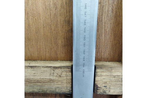 ﾉｷﾞｽのﾐﾂﾄﾖ