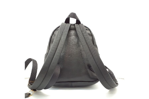 リュックサックのバックパック