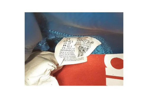25年02月25日：画像６